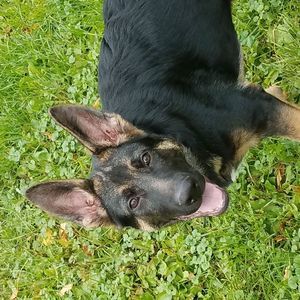 Meet your Posher, Nathan